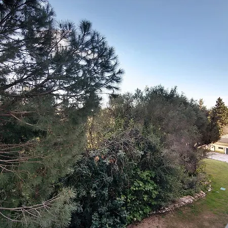 Lejlighed Beira Mar - 1º Esquerdo *